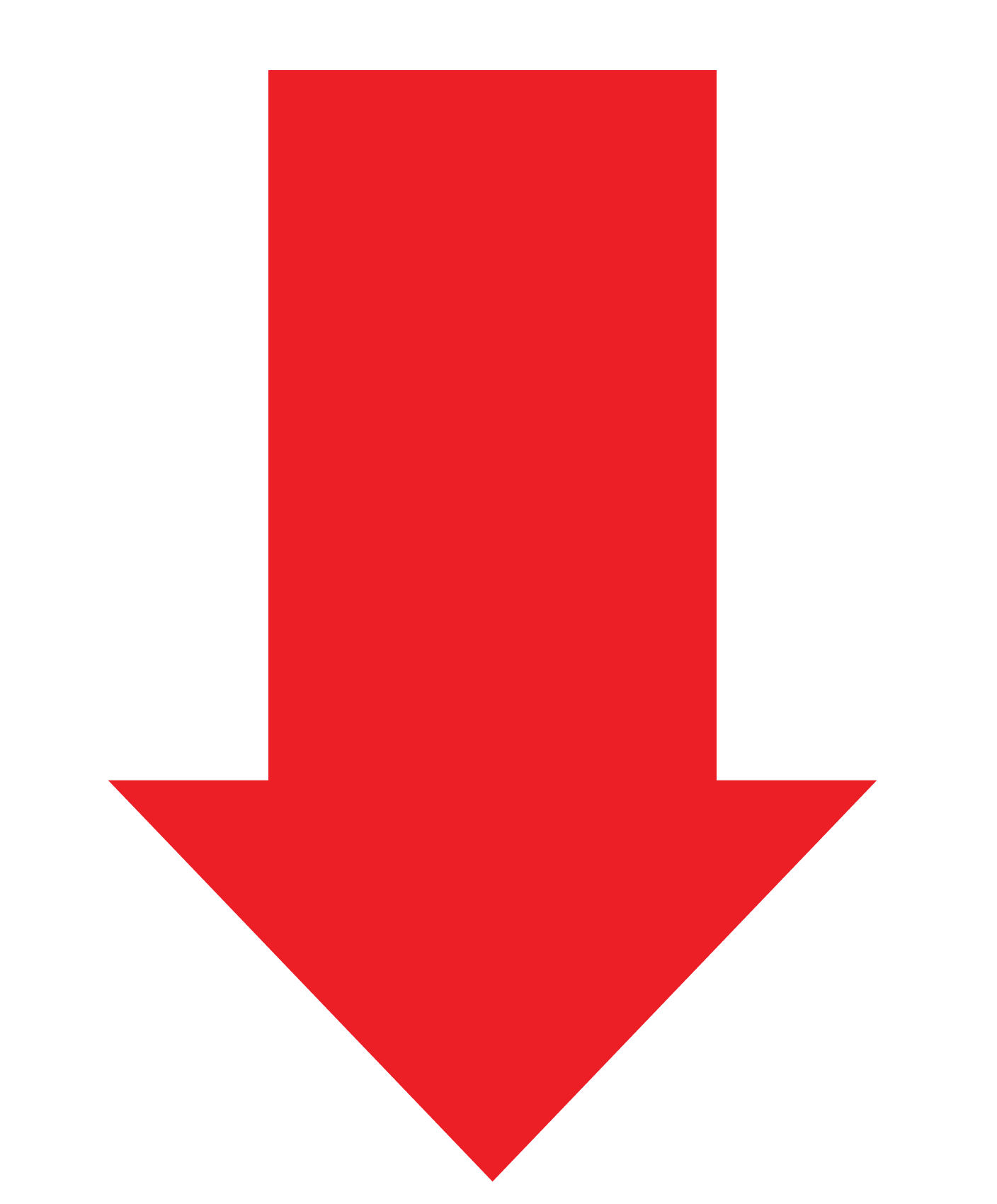 paliko