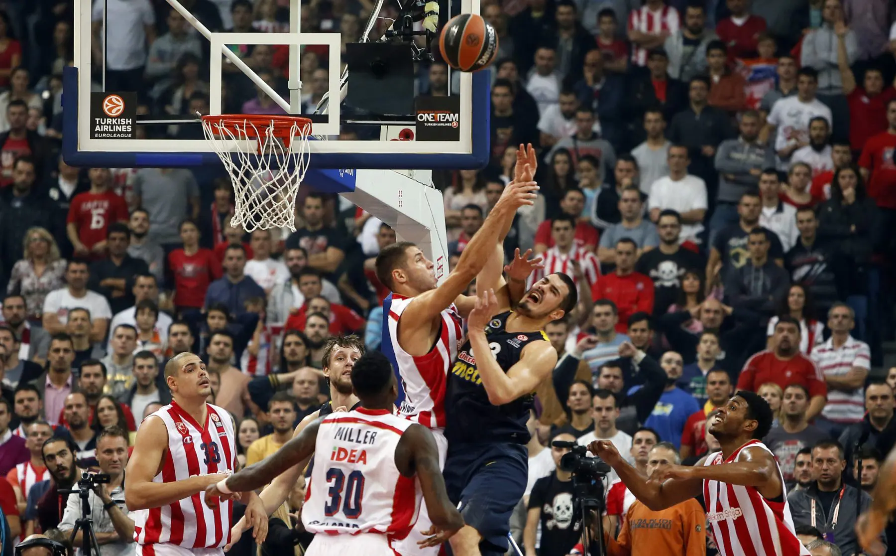 eurolyga Belgrado Crvena Zvezda