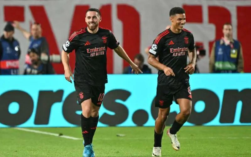 uefa-čempionų-lygos-prognozė-benfica-atletico-madrid uefa-čempionų-lygos-prognozė-benfica-atletico-madrid