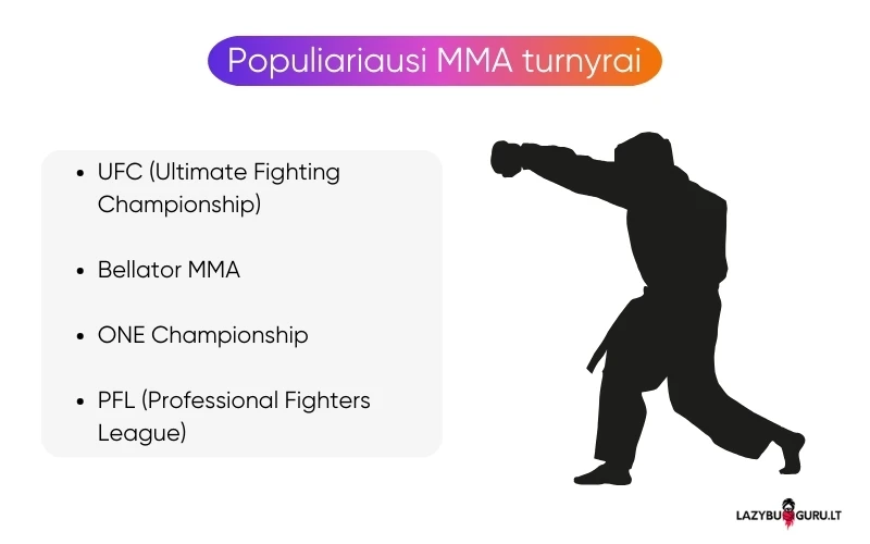 mma-ufc-lazybos-turnyrai